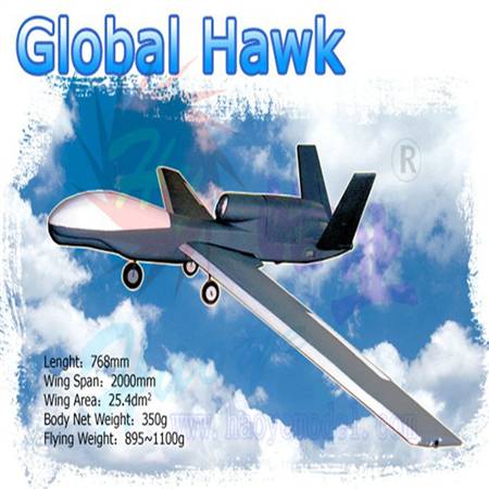 HY028-009-01 Global Hawk