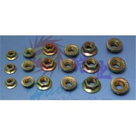 HY017-02101~04  Flange Nuts